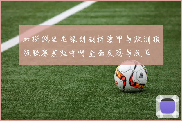加斯佩里尼深刻剖析意甲与欧洲顶级联赛差距呼吁全面反思与改革