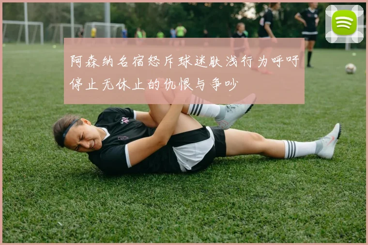 阿森纳名宿怒斥球迷肤浅行为呼吁停止无休止的仇恨与争吵